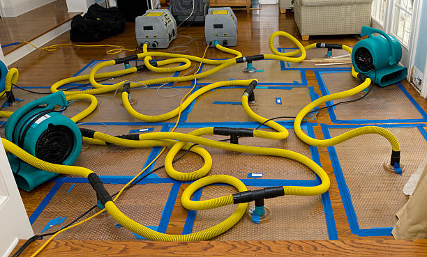 Professional Crawl Space Water Removal technician working in Rosser, TX